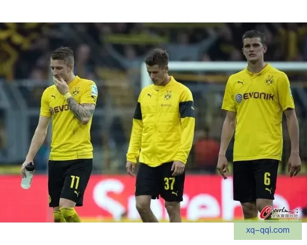 汉诺威961-1埃尔沃斯堡历史遗址探秘与文化价值深度解析